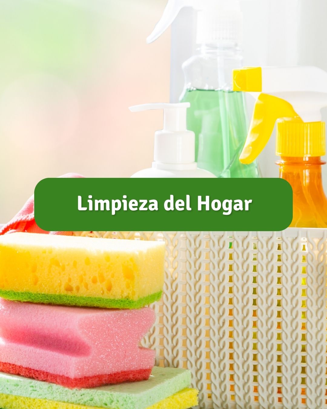 Limpieza del Hogar