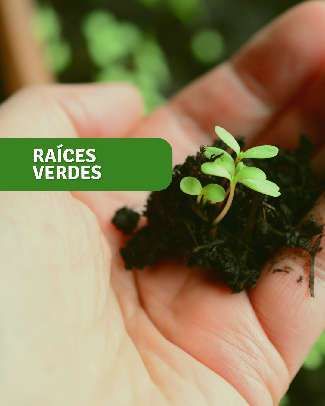 Raíces Verdes
